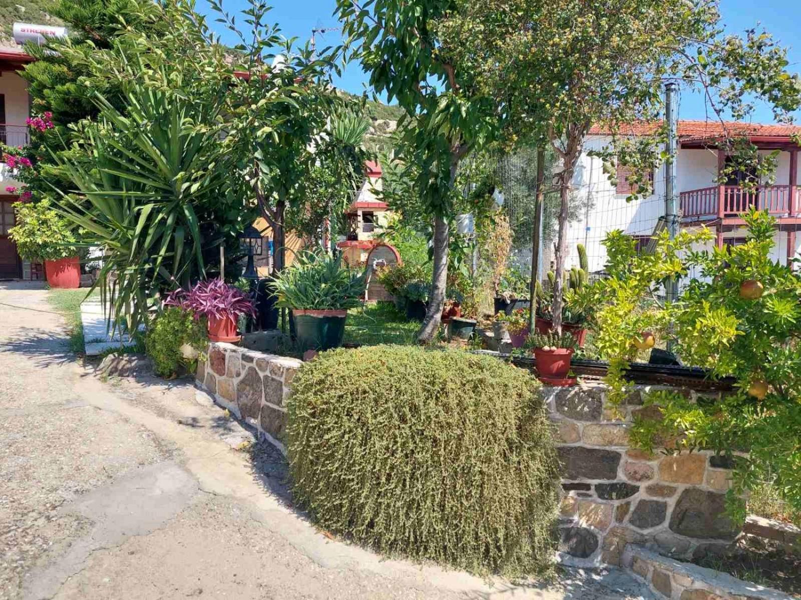 Sweet Apartment Sykia Chalkidikis